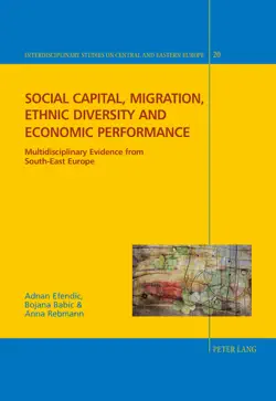 social capital, migration, ethnic diversity and economic performance book cover image