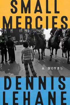 small mercies book cover image