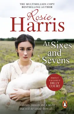 at sixes and sevens book cover image