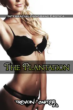 the plantation book cover image