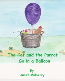 the cat and the parrot go in a balloon book cover image