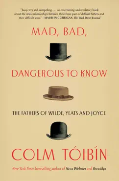 mad, bad, dangerous to know book cover image