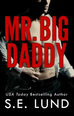 mr. big daddy book cover image