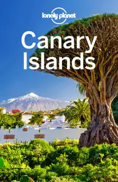 canary islands travel guide imagen de la portada del libro