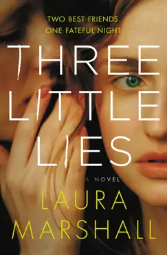 three little lies book cover image