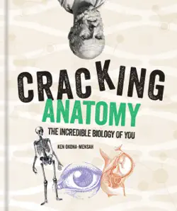 cracking anatomy book cover image