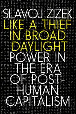 like a thief in broad daylight book cover image