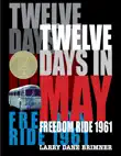 Twelve Days in May synopsis, comments