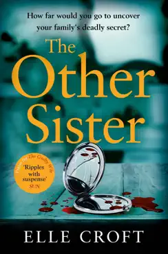 the other sister book cover image