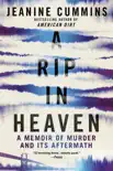 A Rip in Heaven synopsis, comments