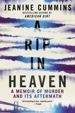 a rip in heaven book cover image
