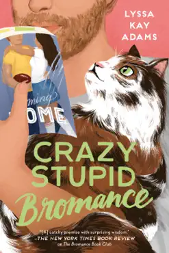 crazy stupid bromance book cover image