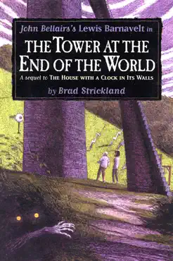 the tower at the end of the world book cover image