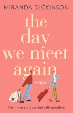the day we meet again book cover image