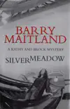Silvermeadow synopsis, comments