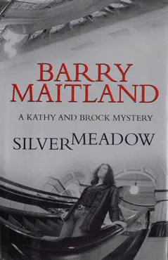 silvermeadow book cover image