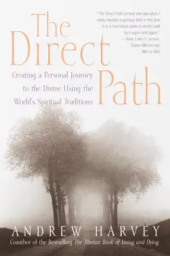 the direct path book cover image