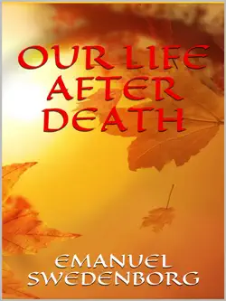 our life after death book cover image