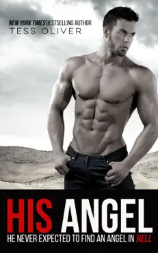 his angel book cover image