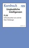 FLXX Schlussleuchten von und mit Peter Felixberger synopsis, comments