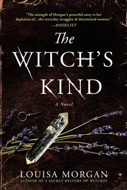 the witch's kind book cover image