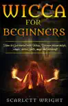 Wicca For Beginners synopsis, comments