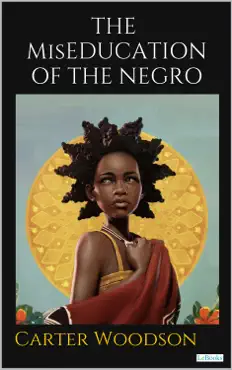 the miseducation of the negro book cover image