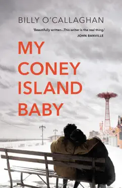 my coney island baby imagen de la portada del libro