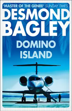 domino island book cover image