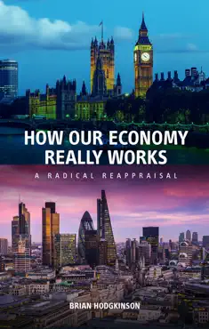 how our economy really works book cover image