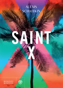 saint x book cover image