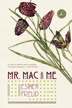mr. mac and me book cover image