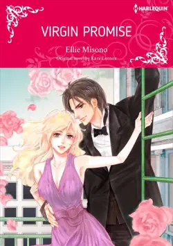 virgin promise book cover image