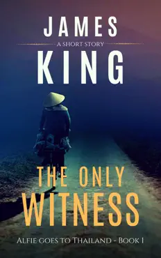 the only witness book cover image