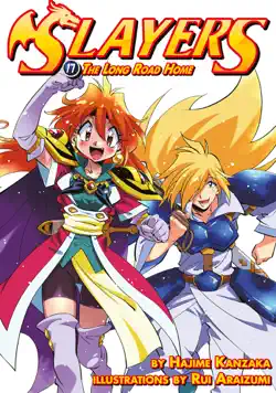 slayers: volume 17 book cover image