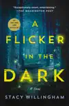A Flicker in the Dark synopsis, comments