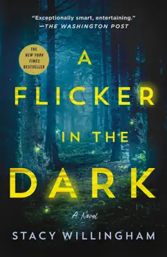 a flicker in the dark book cover image