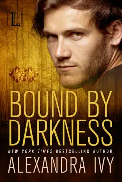 bound by darkness book cover image