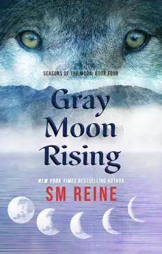 gray moon rising imagen de la portada del libro