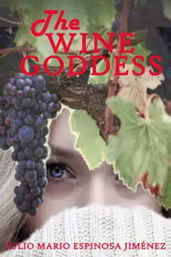 the wine goddess book cover image