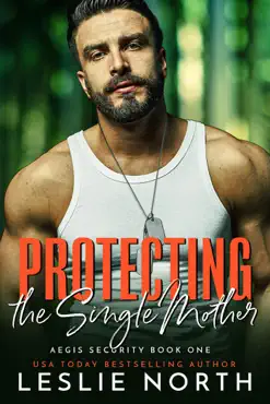 protecting the single mother imagen de la portada del libro