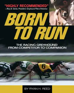 the born to run book cover image