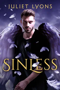 sinless book cover image