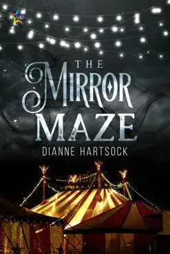 the mirror maze book cover image