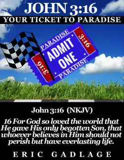 john 316: your ticket to paradise imagen de la portada del libro