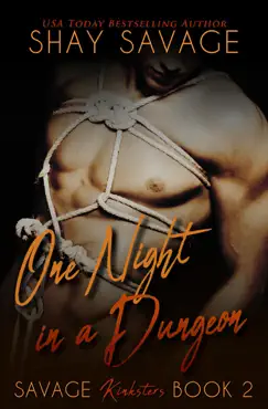 one night in a dungeon book cover image