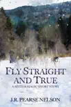 Fly Straight and True synopsis, comments