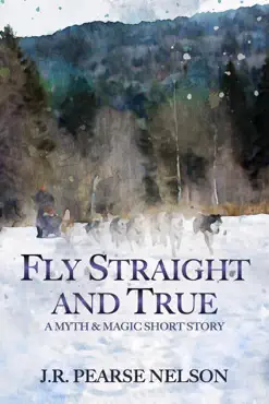 fly straight and true book cover image