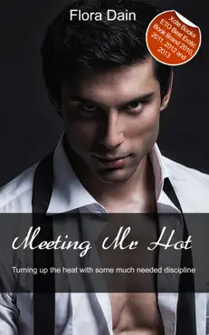 meeting mr hot book cover image