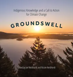 groundswell book cover image
